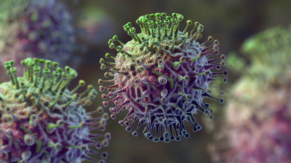 Hình 1: Virus cúm A